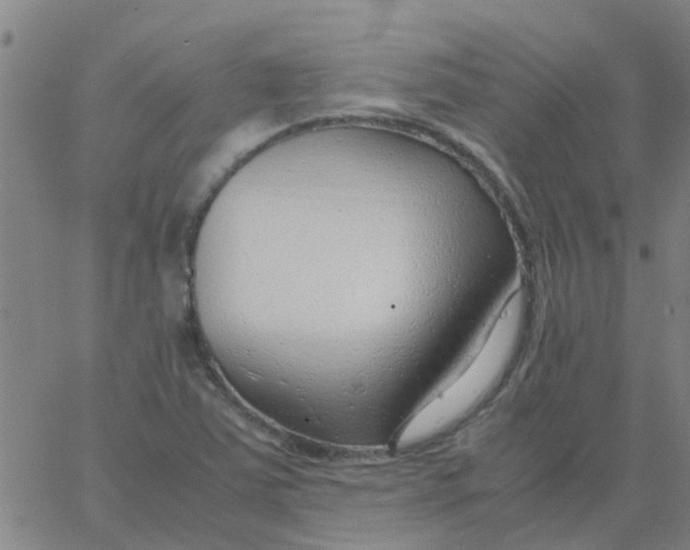 X0000066101363200603312014