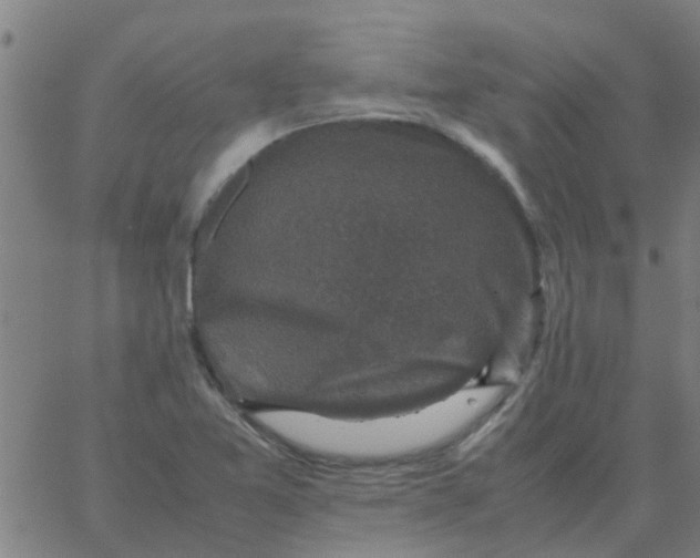 X0000066101365200603312014