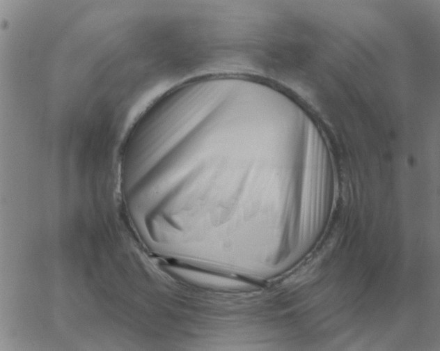 X0000066101366200603312014