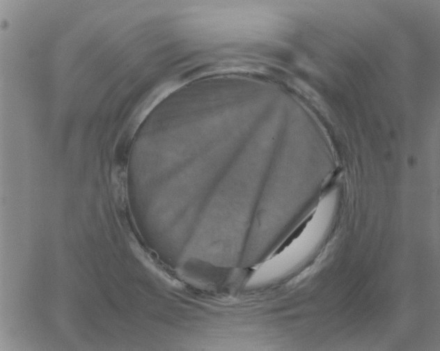 X0000066101369200603312014