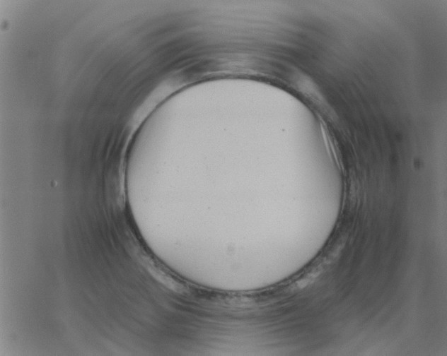 X0000066101370200603312014