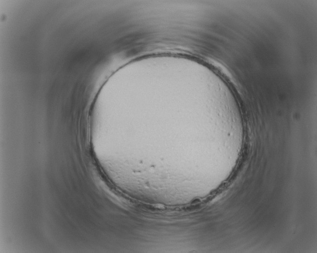 X0000066101371200603312014