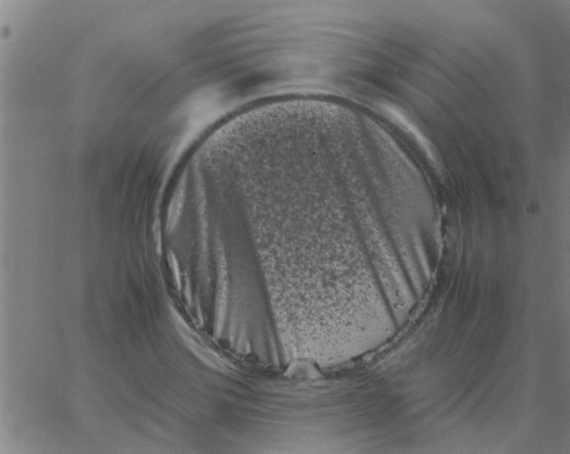 X0000066101372200603312014