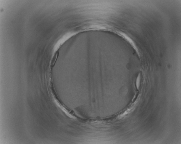 X0000066101373200603312014