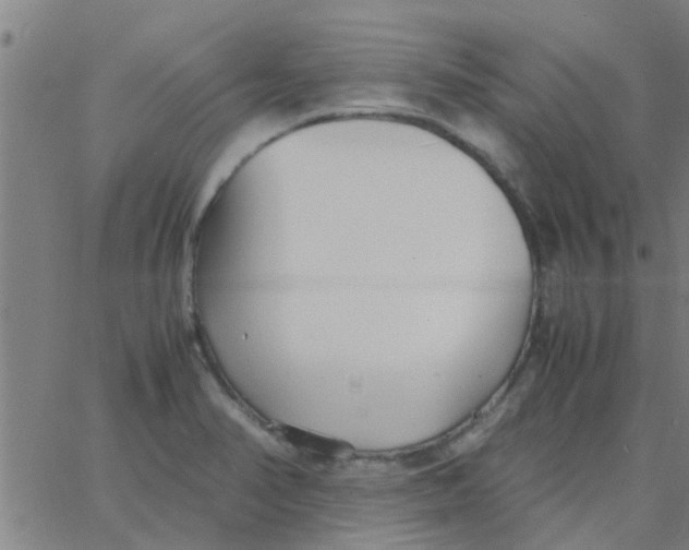 X0000066101374200603312014