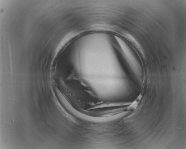 X0000066101376200603312014