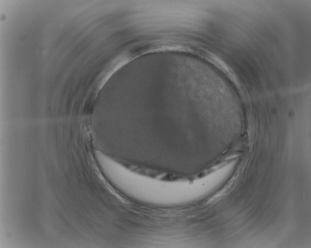 X0000066101377200603312014