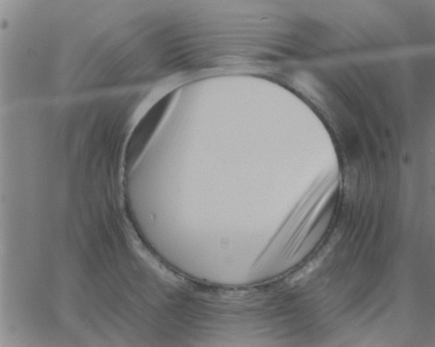 X0000066101378200603312014