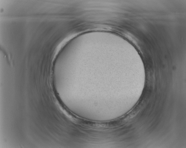 X0000066101379200603312014