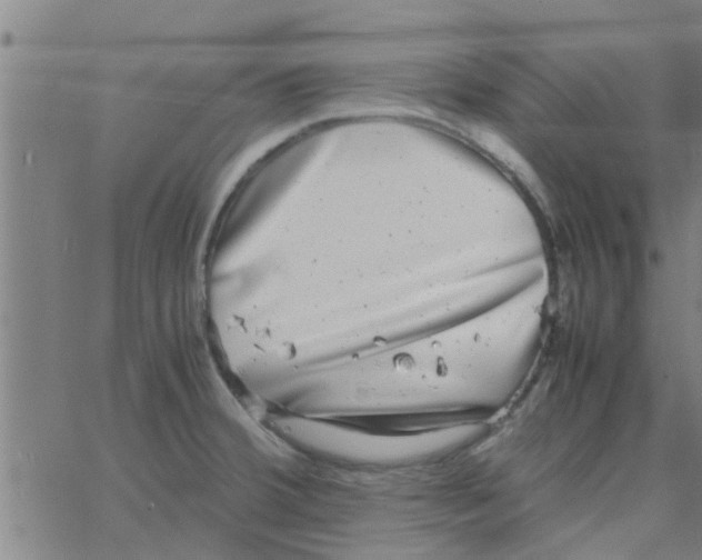 X0000066101380200603312014