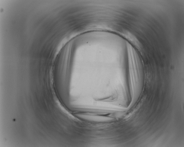 X0000066101382200603312014