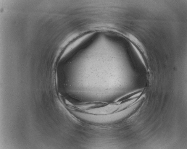 X0000066101384200603312014