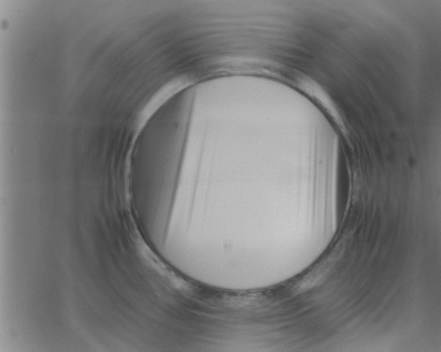 X0000066101386200603312014