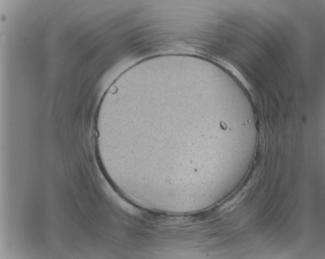 X0000066101387200603312014