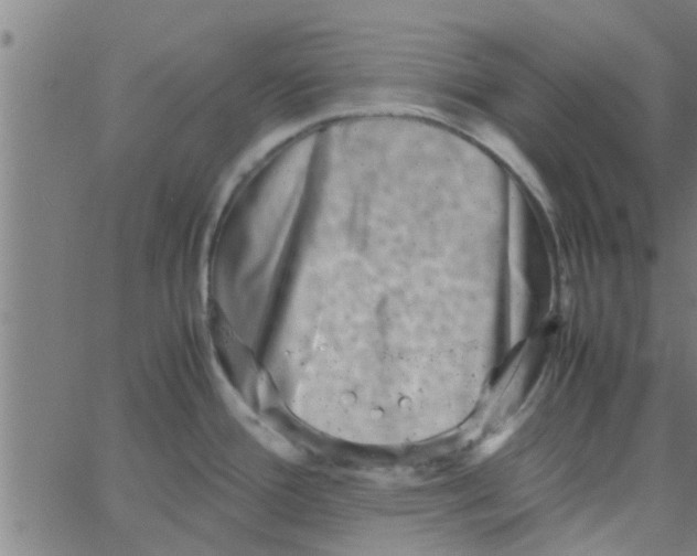 X0000066101388200603312014