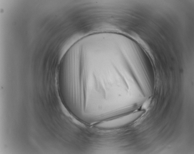 X0000066101390200603312014