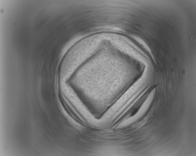 X0000066101391200603312014