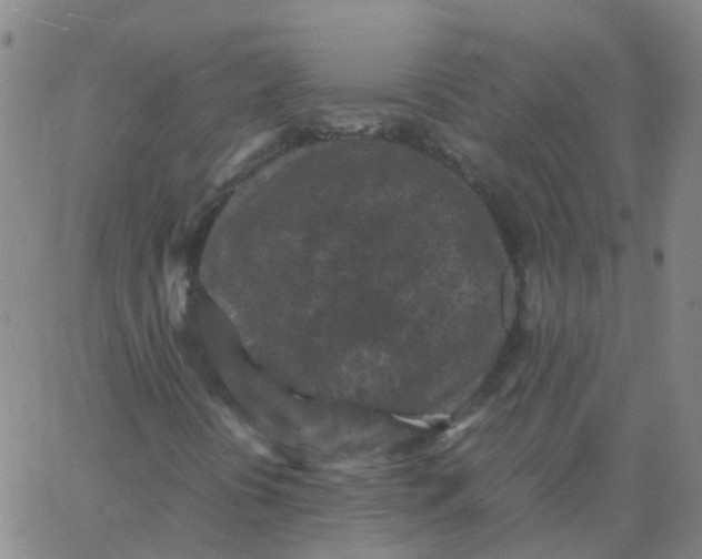 X0000066101394200603312013