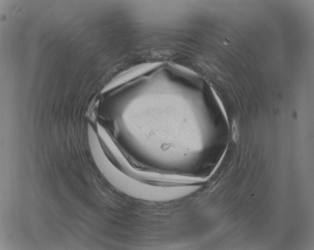 X0000066101395200603312013