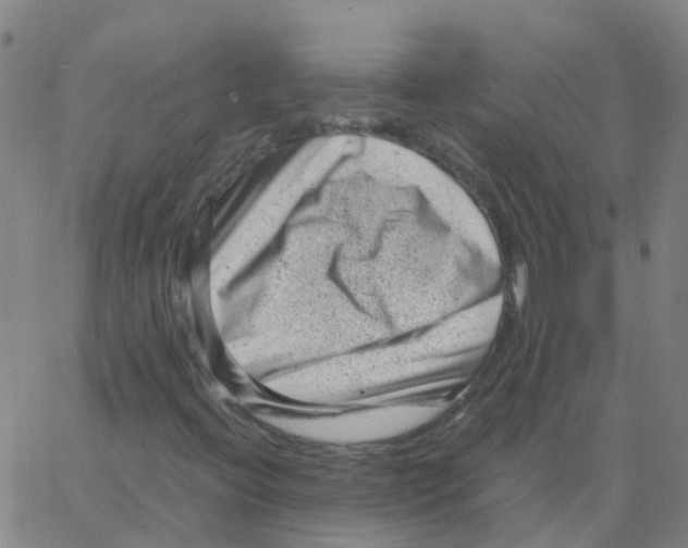 X0000066101396200603312013