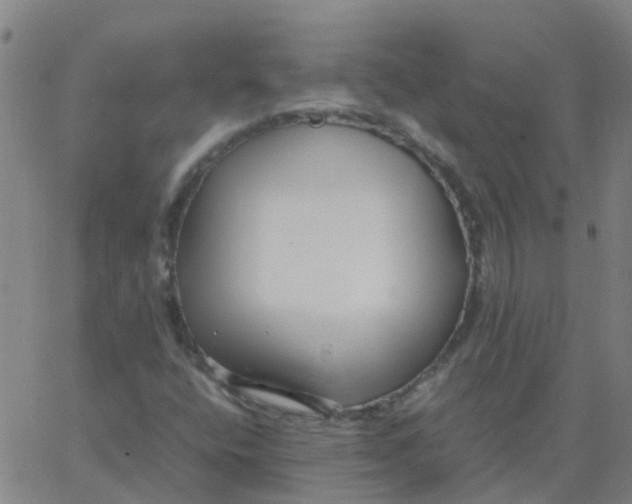 X0000066101400200603312013