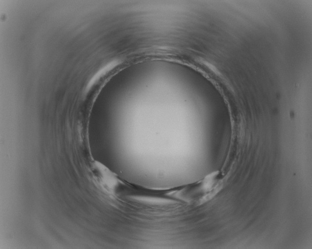 X0000066101402200603312013