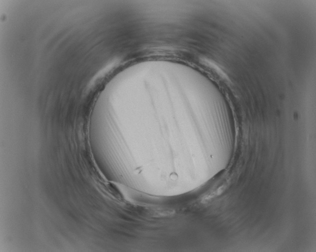 X0000066101403200603312013