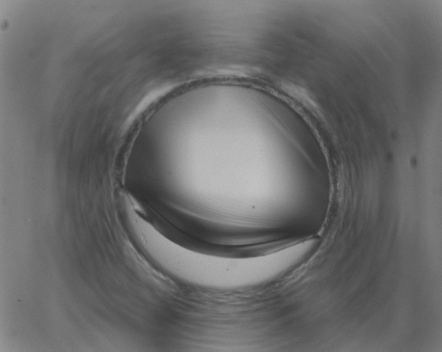 X0000066101404200603312013