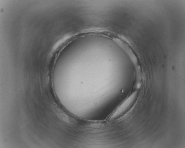 X0000066101406200603312013