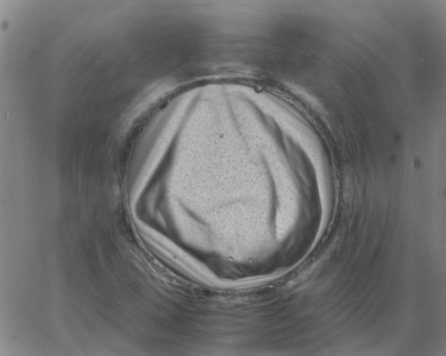 X0000066101407200603312013