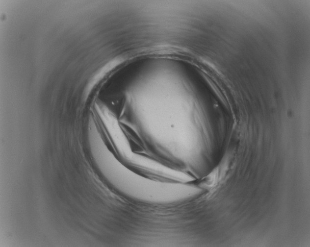 X0000066101410200603312013