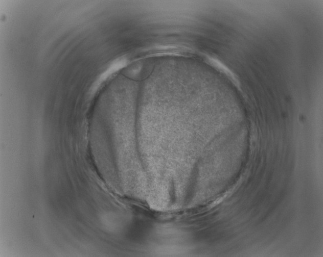 X0000066101411200603312013