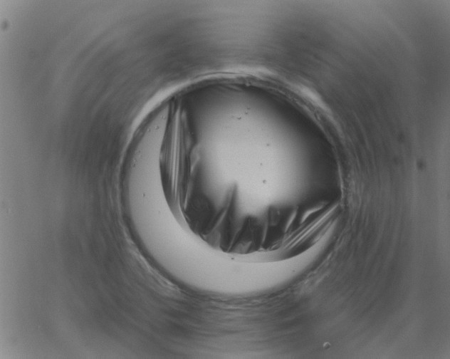 X0000066101412200603312013