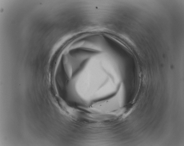 X0000066101414200603312013