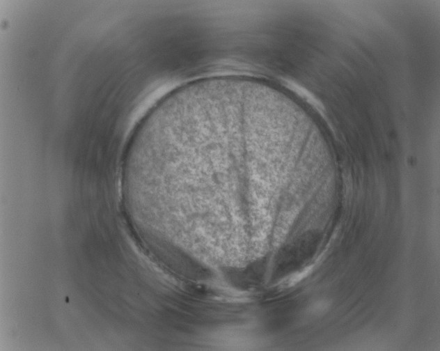 X0000066101415200603312014