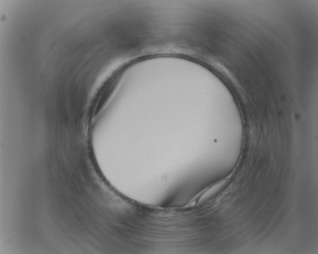 X0000066101416200603312014