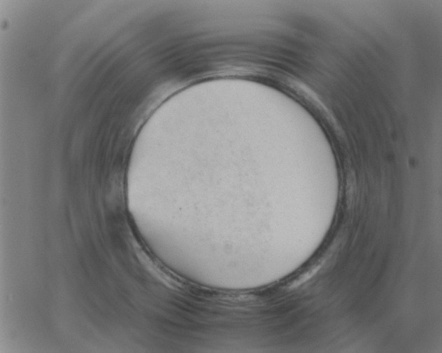 X0000066101417200603312014