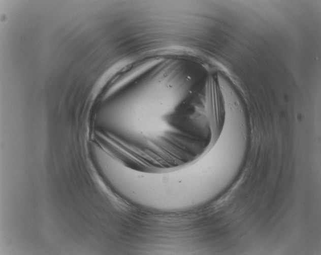 X0000066101418200603312014