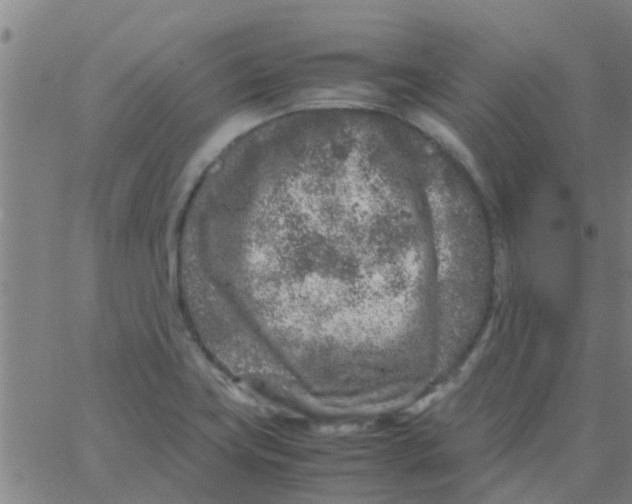 X0000066101419200603312014