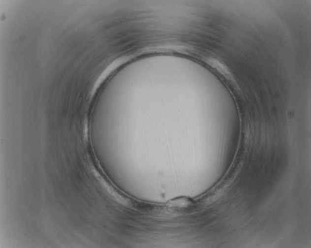 X0000066101420200603312014