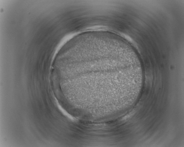 X0000066101421200603312014