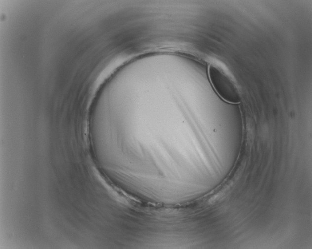 X0000066101424200603312014