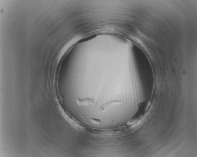 X0000066101426200603312014