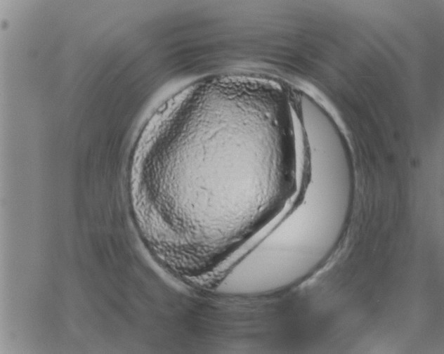 X0000066101429200603312014