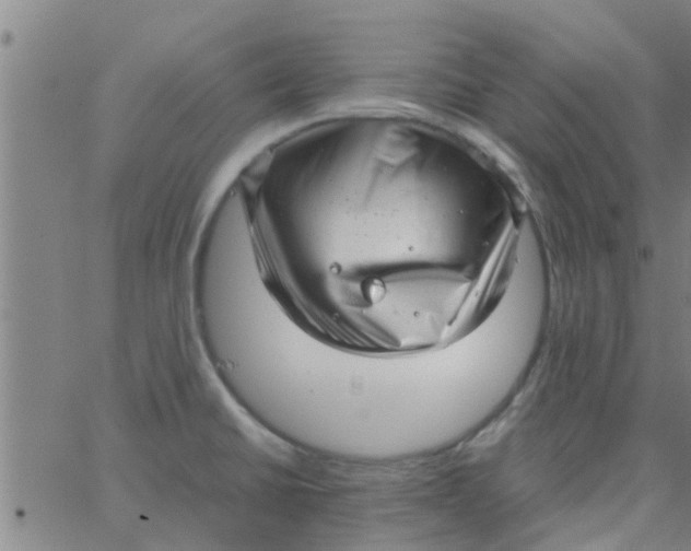 X0000066101430200603312014