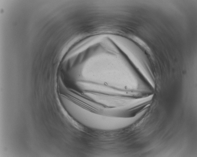 X0000066101431200603312014