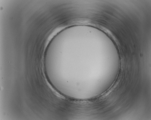 X0000066101432200603312014