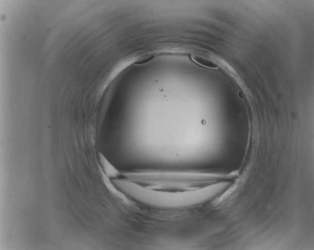 X0000066101433200603312014