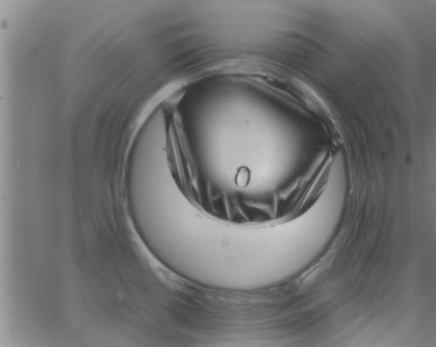 X0000066101434200603312014