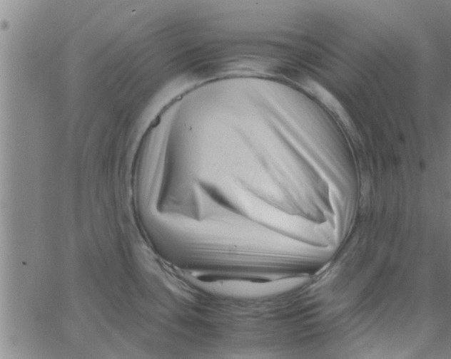 X0000066101435200603312014